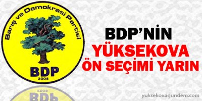 BDP Yüksekova Seçim Komisyonu'nda çağrı