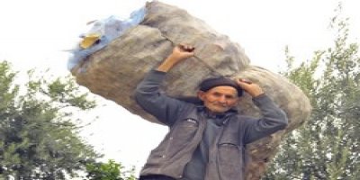Mardin'li Arslan arazilerini İstiyor