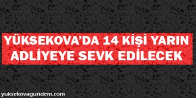 Yüksekova'da 14 kişi yarın adliyeye sevk edilecek