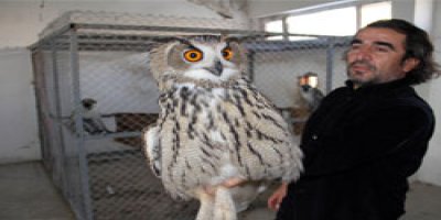 YYÜ'de yabani hayvan oteli açılıyor