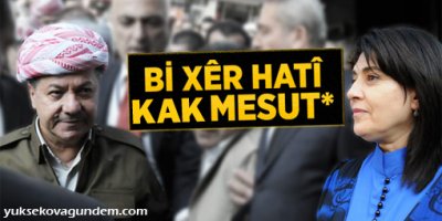 Leyla Zana, Barzani'yi Yerel Kıyafetle Karşıladı