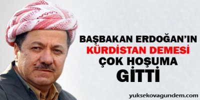 Barzani: Başbakan'ın 'Kürdistan' demesi çok hoşuma gitti