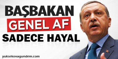 Erdoğan: Genel af yok, ben hayallerimi anlatıyorum