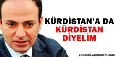 Baydemir: Kürdistana da Kürdistan diyelim