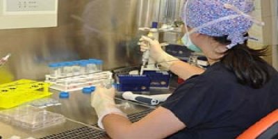 Kendi kök hücresinden damar