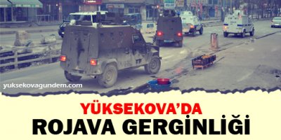 Yüksekova'da gerginlik çıktı