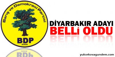Kışanak Diyarbakır Büyükşehir Belediyesi için başvurdu
