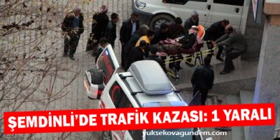 Şemdinli'de trafik kazası: 1 Yaralı