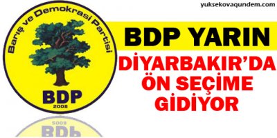 BDP yarın Diyarbakır'da ön seçime gidiyor