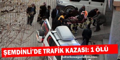 Şemdinli'de trafik kazası: 1 Ölü
