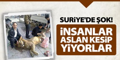 İnsanlar Aslan Kesip Yiyorlar