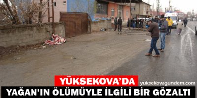 Yüksekova'da Yağan'ın ölümüyle ilgili bir gözaltı