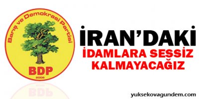 BDP: İran'daki idamlara sessiz kalmayacağız
