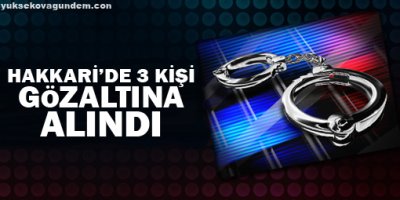 Hakkari'de 3 kişi gözaltına alındı