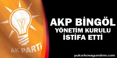 Ak parti bingöl yönetim kurulu istifa etti