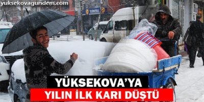Yüksekova'ya Yılın İlk Karı Yağdı