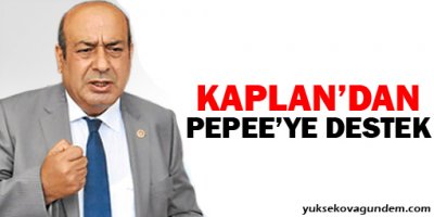 Hasip Kaplan'dan Pepee'ye destek: Diren Pepee!