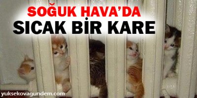 Soğuk havada sıcak bir karede