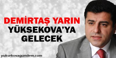 Demirtaş yarın Yüksekova'ya gelecek