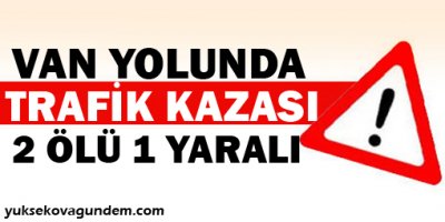 Van yolunda kaza: 2 ölü, 1 yaralı