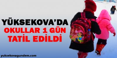 Yüksekova'da kar yağışı nedeniyle okullara ara verildi