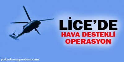 Lice kırsalında hava destekli operasyon