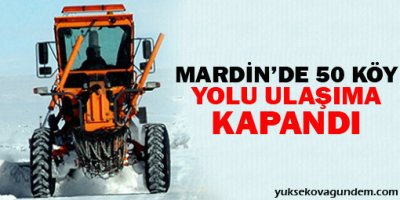 Mardin'de 50 köy yolu ulaşıma kapandı