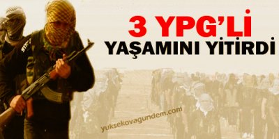 3 YPG'li yaşamını yitirdi