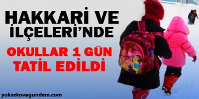 Hakkari'de okullar yarın tatil edildi