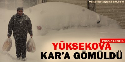 Yüksekova Kar'a Gömüldü