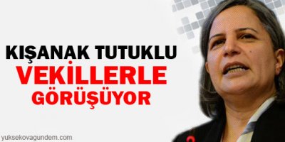 Kışanak tutuklu vekillerle görüşüyor