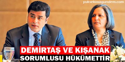 Demirtaş ve Kışanak: Sorumlusu Hükümettir