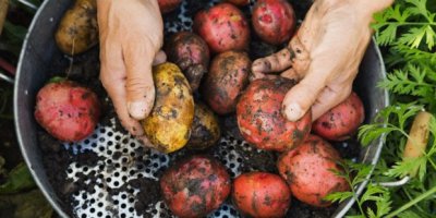 Türkiye'nin organik devi satıldı