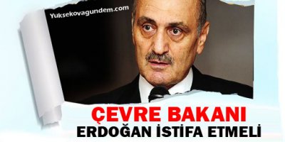 Çevre Bakanı: Erdoğan istifa etmeli!