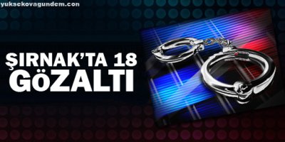 Şırnak'ta 18 gözaltı