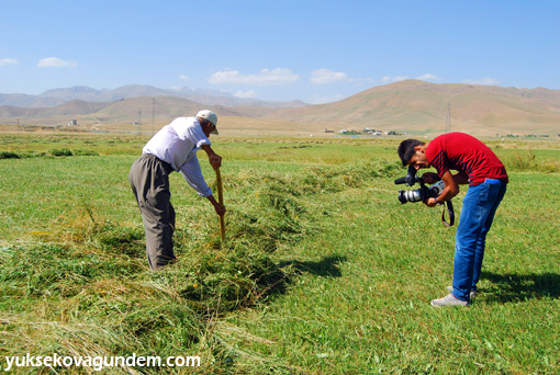 Bunaltıcı Sıcağa Aldırmadan Ot Topluyorlar