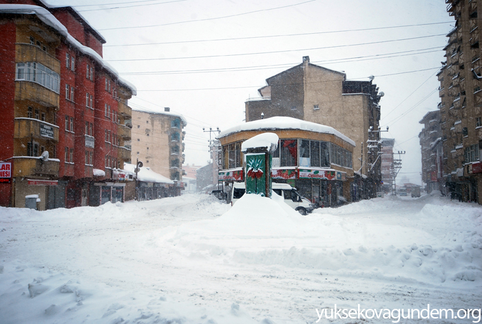 Yüksekova'da kar hayatı felç etti