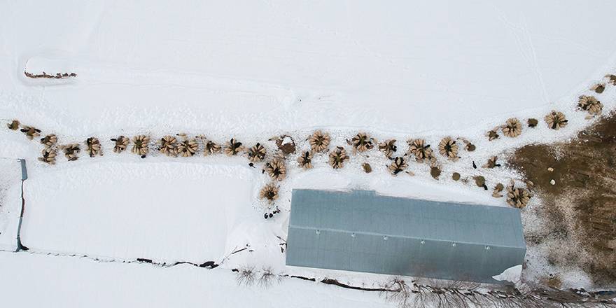 Yüksekova: besicilerin zorlu kış şartlarıyla mücadelesi