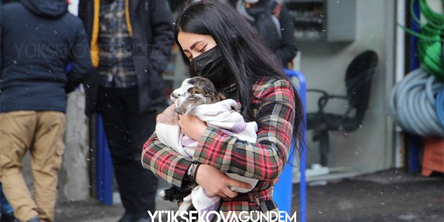 Yüksekova'da bacağı kırılan oğlak ilgi odağı oldu