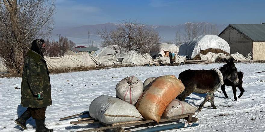 Yüksekova’da hayvanlar için kızaklarla ot taşıyorlar