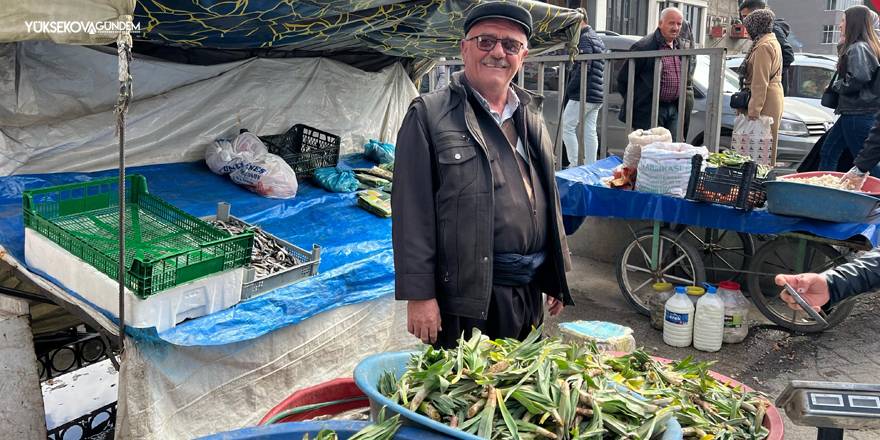 Yüksekova’da çiriş otu tezgahlardaki yerini aldı